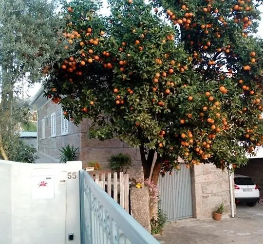 펜션 Vivenda Mendes 2 빌라노바데파말리카오