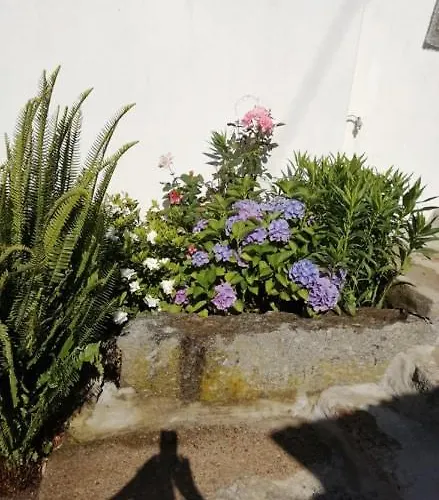 Vivenda Mendes 2 펜션